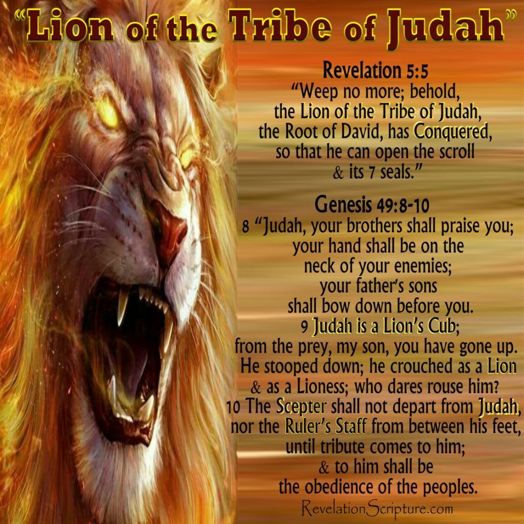 The Lion Of Judah In Revelation 5
